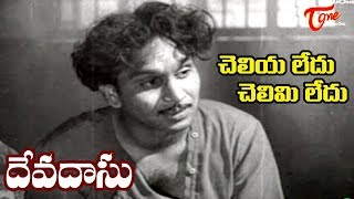 Telugu Old Songs Devadasu Movie  Cheliya Ledhu Song  ANR  Savitri  Old Telugu Songs [upl. by Kaye]