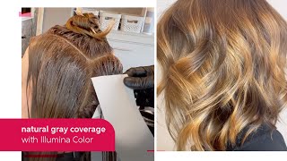 NaturalResult Gray Coverage with Illumina Color  Wella Professional [upl. by Naginarb]