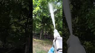 Spraying Bagworms POV [upl. by Dimitry]