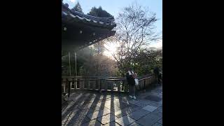 Otowa wishing waterfall Kiyomizudera Kyoto [upl. by Sabu]