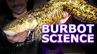 BurbotEelpout Tracking Study Results [upl. by Fellows]