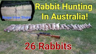 Rabbit Shooting Australia Pest Control Using a 22LR 50 107 Metre Shots [upl. by Chere157]