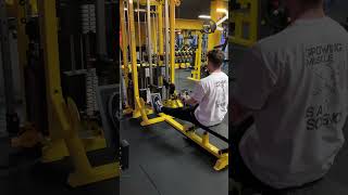 Single arm row cable machine [upl. by Clarance]