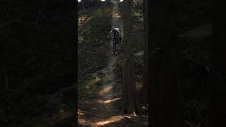 Tool for any trail We’ll be the judge The Transition Smuggler 🎥 vmisc shorts freeride mtb [upl. by Toiboid925]