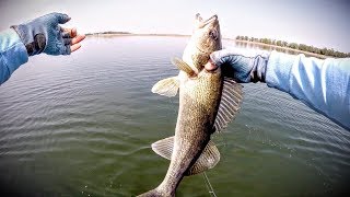 Early Spring Walleyes — Fishing Edge TV [upl. by Alemrac]