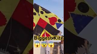 shortsfeedshortsyoutubeshortsvideoshortskiteflyingkiteskitekitefestivalshortsviralshortfy [upl. by Eiralam]