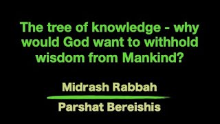 The tree of knowledge  why would God want to withhold wisdom from Mankind [upl. by Yreffeg]