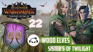 FOREST ENCOUNTER  Total War Warhammer 3 IE Part 22 Sisters of Twilight Campaign [upl. by Hillell]