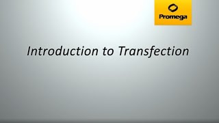 Introduction to Transfection [upl. by Rosalynd]