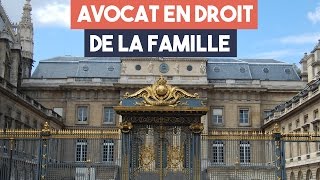 Avocats  la spécialité droit de la famille [upl. by Anaig]