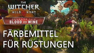 Witcher 3 Rüstungen färben Guide [upl. by Baun700]