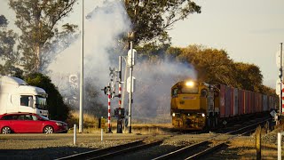 Rolleston Rail Action [upl. by Austin577]