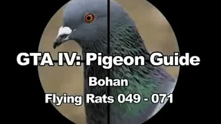 GTA IV Pigeon Guide  Bohan [upl. by Anayad681]