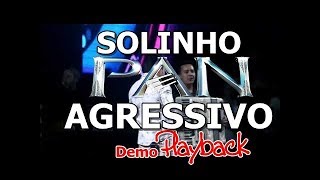 SOLINHO AGRESSIVO  Versão do PAN  DemoPLAYBACK [upl. by Florenza]