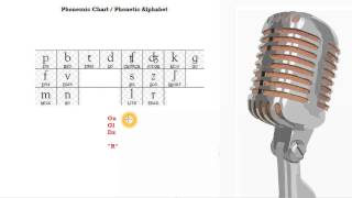 Italian Course Beginner Series 8 The Consonants [upl. by Aipotu]