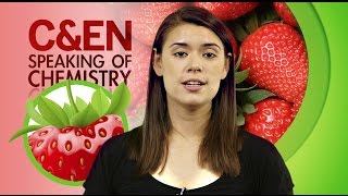 Are Strawberries Going Away  Speaking of Chemistry Ep 24 [upl. by Eicyaj]