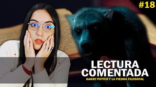 🔴 Lectura agr3siv4m3nte comentada de Harry Potter 18⚡️ [upl. by Eserrehs]