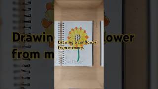 Drawing a Sunflower from memory drawing [upl. by Canon192]