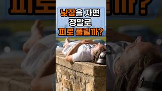 낮잠을 자면 정말로 피로가 풀릴까 건강정보 이슈 낮잠 집중력 건강관리 [upl. by Keli]