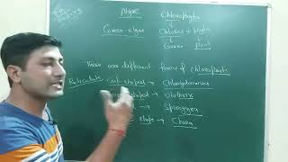 chlorophyta greenalgae 11thbiology neet neet2025 [upl. by Gillead]