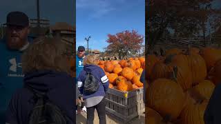 Pumpkin 🎃 festival in Linvilla Orchards outdoor farmer market pumpkin festival farmer [upl. by Arbua]