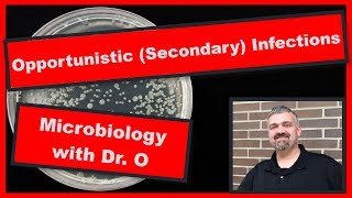 Secondary Infections and Opportunistic Infections Microbiology [upl. by Orgalim45]