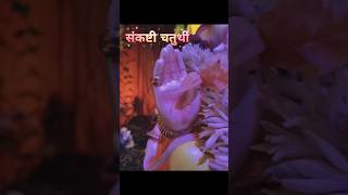 Sankashti Chaturthi Status Sankashti Chaturthi Status New 2024संकष्टी चतुर्थीGanpati Bappa Status [upl. by Atteniuq]