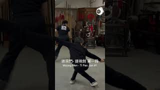 迷宗門提袍劍 第一段 Mizong Men  Ti Pao Jian 1 shorts kungfu martialarts [upl. by Enaile]