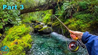 Fly Fishing some INSANE tiny creeks Trout Fishing Washington [upl. by Einniw]