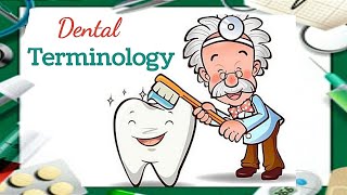 Dental terminology مصطلحات طب الاسنان [upl. by Ecadnarb312]