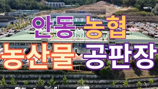 전국최대규모 안동농협 농산물공판장을가다 [upl. by Clywd785]