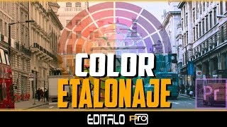 Cómo modificar el Color en Premiere  Etalonaje [upl. by Drazze]