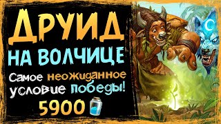 Самая НЕОЖИДАННАЯ колода — Друид на ЛУННОЙ ВОЛЧИЦЕ 2021  Hearthstone [upl. by Annyrb]