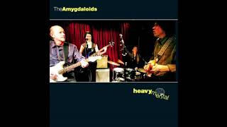 The Amygdaloids  Heavy Mental full album 2007 [upl. by Obadiah]