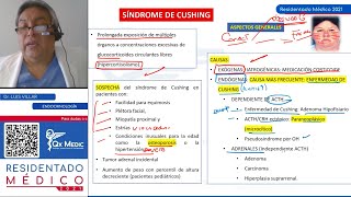 REPASO II  ENDOCRINOLOGÍA [upl. by Allene]