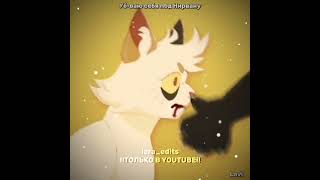 Фенибутwarrior cats editSorrekit edit edit warriorcats котывоители warriors cat [upl. by Weidar]