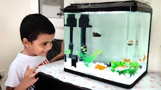 My New Aquarium Setup  TummyTimeTamil [upl. by Obadias701]