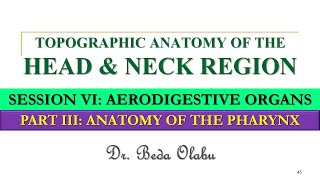 ANATOMY OF THE PHARYNX [upl. by Petrick355]