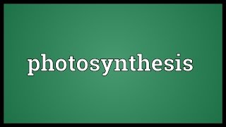 Photosynthesis Meaning [upl. by Thunell]