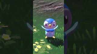 Piplup Cheer You Up [upl. by Brok]