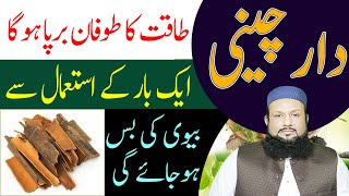 Daar Cheeni Ke Fawaid  Cinnamon Benefits Urdu Hindi  Hakeem Mehmood Tohidee [upl. by Arihsay418]