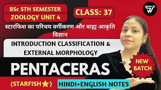 Introduction Classification amp Morphology of PENTACEROS starfish⭐  Mollusca to Hemichordata [upl. by Larok95]