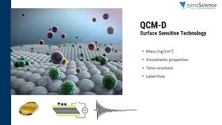 What Is QCMD Quartz Crystal Microbalance with Dissipation Monitoring [upl. by Hosea]