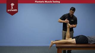 Plantaris Muscle Test Palp Dr Nikita Vizniak Muscle Manual [upl. by Volny]