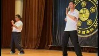 Wing Chun The 4th Form  Ip Man Wing Chun [upl. by Taam436]