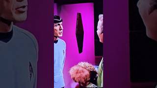 Very Perceptive Creatures shorts startrek shortvideo short scifi space [upl. by Borries517]