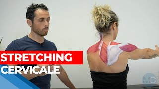 I migliori STRETCHING CERVICALI i miei esercizi preferiti classifica [upl. by Adnohrahs]