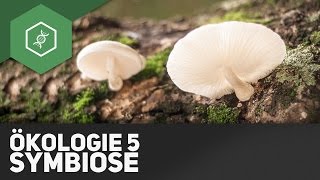 Symbiose – Ökologie 5 [upl. by Lowrie]