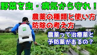 野菜を虫や病気から守りたい！農薬の種類・使い方紹介 [upl. by Comstock]