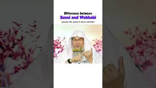 Islam Difference Between Sunni and Wahhabi  Sheikh Assim Al Hakim [upl. by Demmahom]